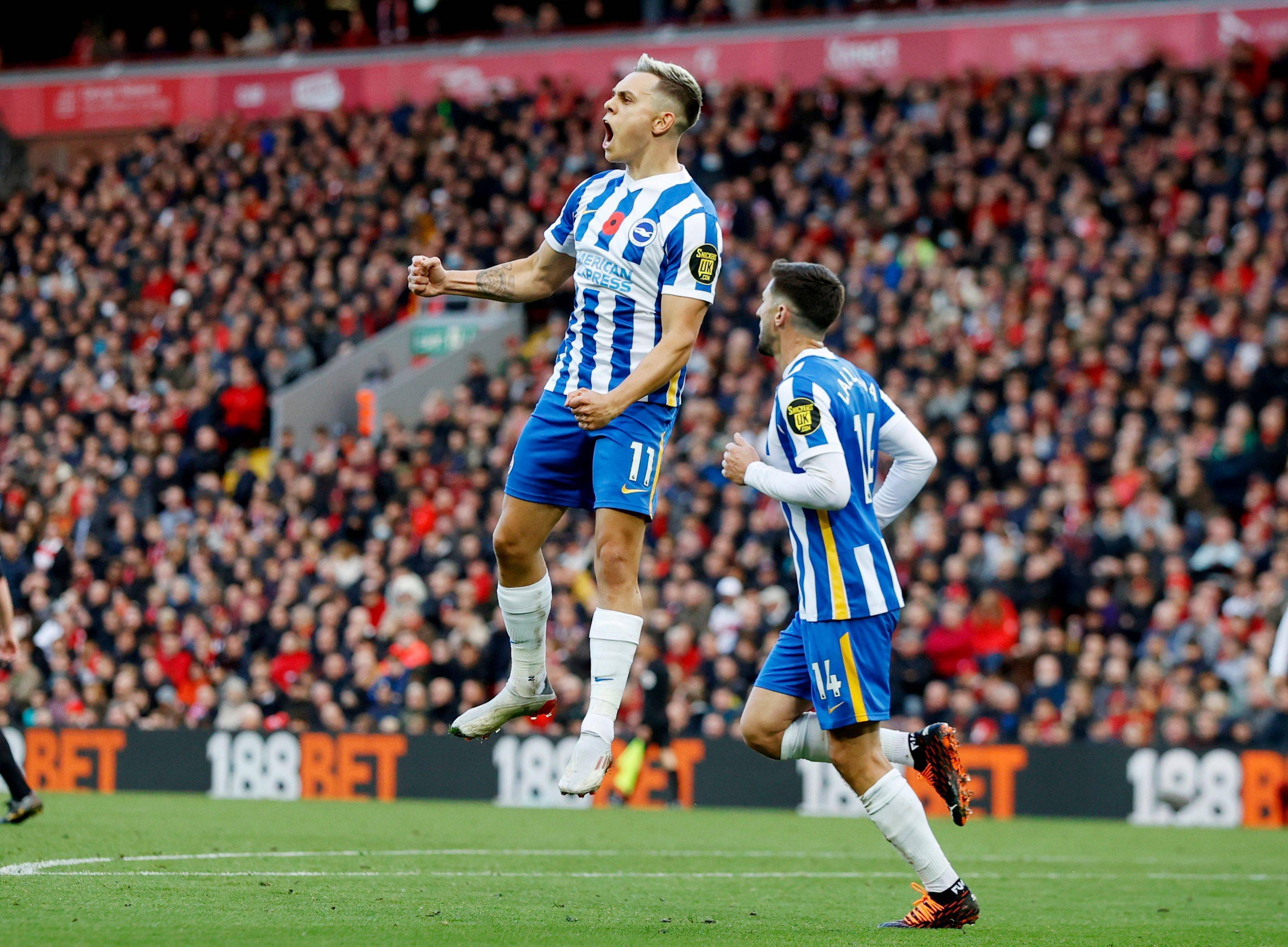 它应该是一 它应该是一